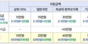 구분에 따른 민생회복 소비쿠폰 지원금액