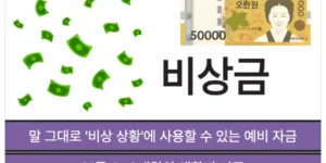 비상금의 정의와 기준