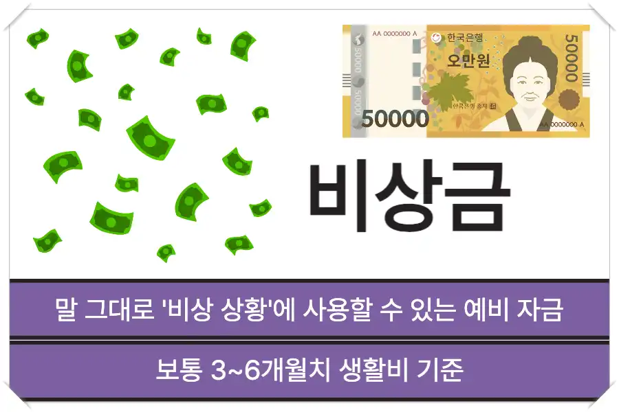 비상금의 정의와 기준