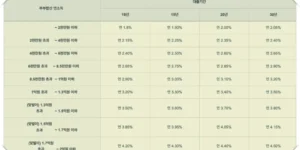신생아 특례 디딤돌대출의 특례금리 적용시 금리