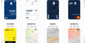 대중교통 및 자전거 특화 신용카드 중의 하나라고 할 수 있는 K패스 종류