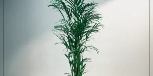 반려동물에게 독성이 낮은 대표 집안 공기 정화 식물인 아레카야자