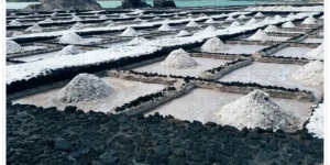 신장 식단 스타터 키트의 핵심이 되는 소금을 생산하는 염전