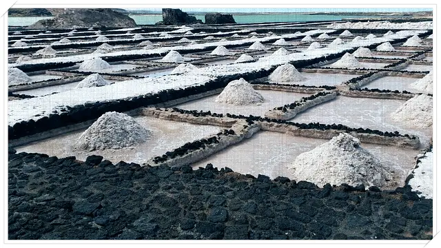 신장 식단 스타터 키트의 핵심이 되는 소금을 생산하는 염전